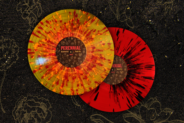 ACUMENTAL - PERENNIAL